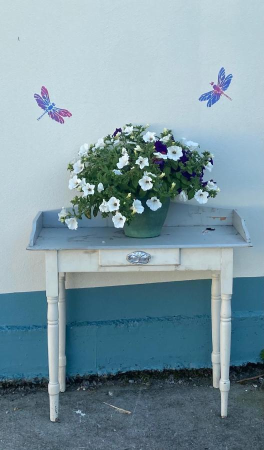 Farm Stay Property Pets And Families Welcome Rossnowlagh Extérieur photo
