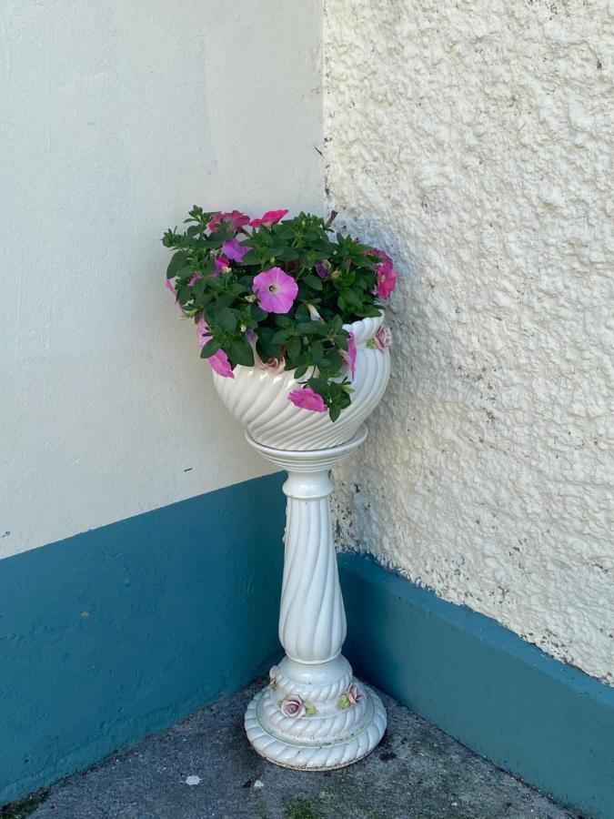 Farm Stay Property Pets And Families Welcome Rossnowlagh Extérieur photo