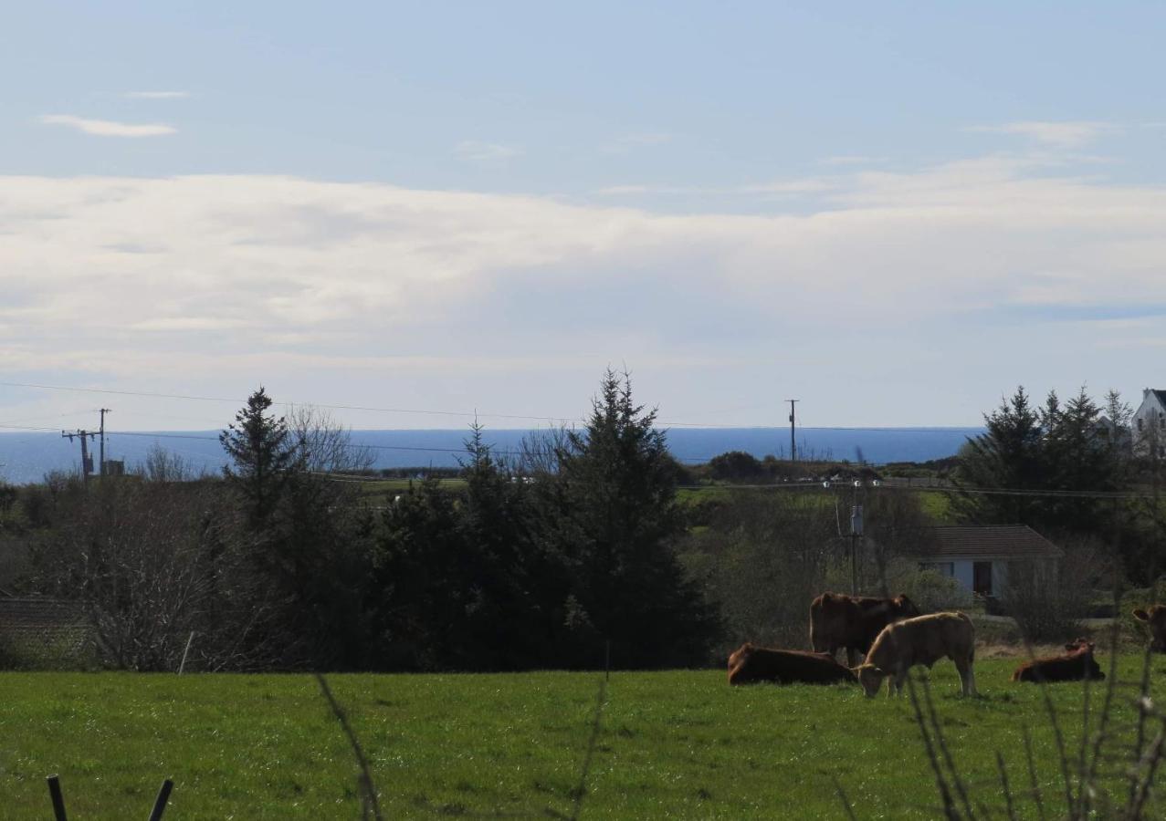 Farm Stay Property Pets And Families Welcome Rossnowlagh Extérieur photo