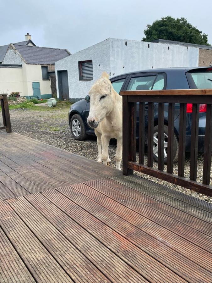 Farm Stay Property Pets And Families Welcome Rossnowlagh Extérieur photo