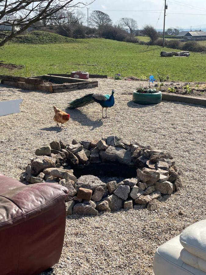 Farm Stay Property Pets And Families Welcome Rossnowlagh Extérieur photo