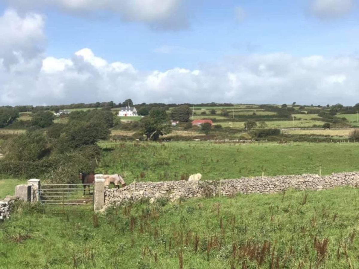 Farm Stay Property Pets And Families Welcome Rossnowlagh Extérieur photo